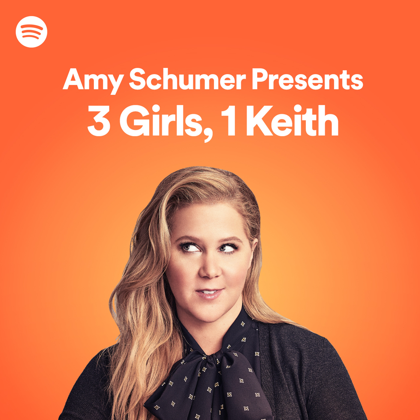 Amy Schumer Seating Chart